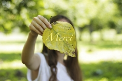 Girl holding autumn leaves in his hands