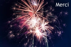 bright-celebration-explosion-949592 - copie
